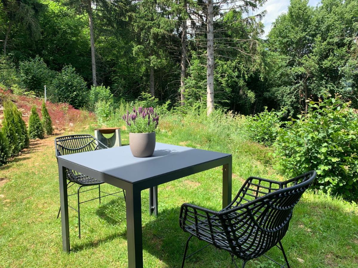 Moderne Wohnung Im Gruenen Mit Privatem Garten دوناوشينغن المظهر الخارجي الصورة