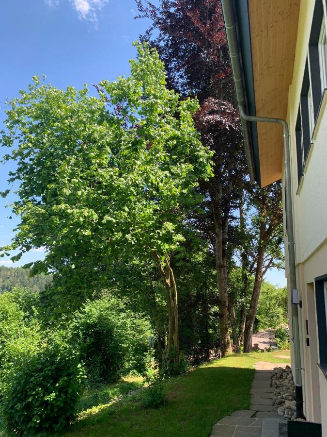 Moderne Wohnung Im Gruenen Mit Privatem Garten دوناوشينغن المظهر الخارجي الصورة